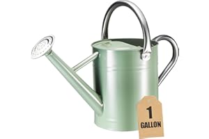 CherHome Watering Can for Outdoor Plants&Indoor Plants,Plant Watering Pot 1 Gallon with Removable Spout,Metal Flower Garden Water Can Watering Pot,Galvanized Steel Watering Can Outdoor，Cream Green