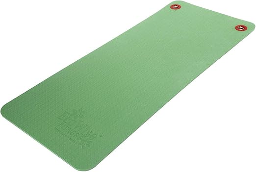 ecowise yoga mat