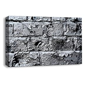 Canvas Wall Art Mottled Wall Pictures Home Wall Decorations for Bedroom Living Room Paintings Canvas Prints Framed - 12x18 inches