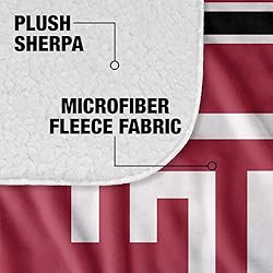 Temple University Owls Primary Logo Stripes Sherpa