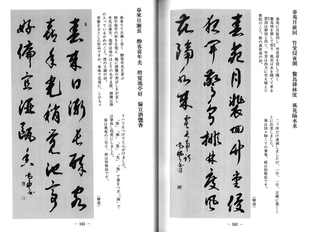 漢字の作品 正しい漢字条幅の手本集 大貫思水 本 通販 Amazon