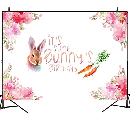 Amazon Com Mehofoto 1st Birthday Backdrop Bunny Themed Photography