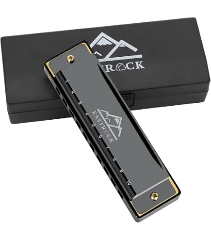 Amazon.com: Tombo 3521 Dragonfly Double Tone Harmonica, D-tone