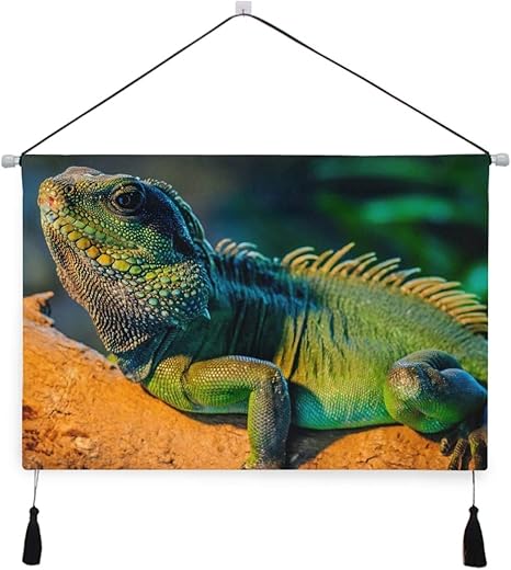 Amazon Co Jp Saiaos 装飾 客間 タペストリー カラフルなイグアナトカゲかわいい野生動物 インテリア 壁掛け写真 ポスター 絵画 掛けるおしゃれな部屋飾り絵 巻物 壁 モダンアート ホーム キッチン