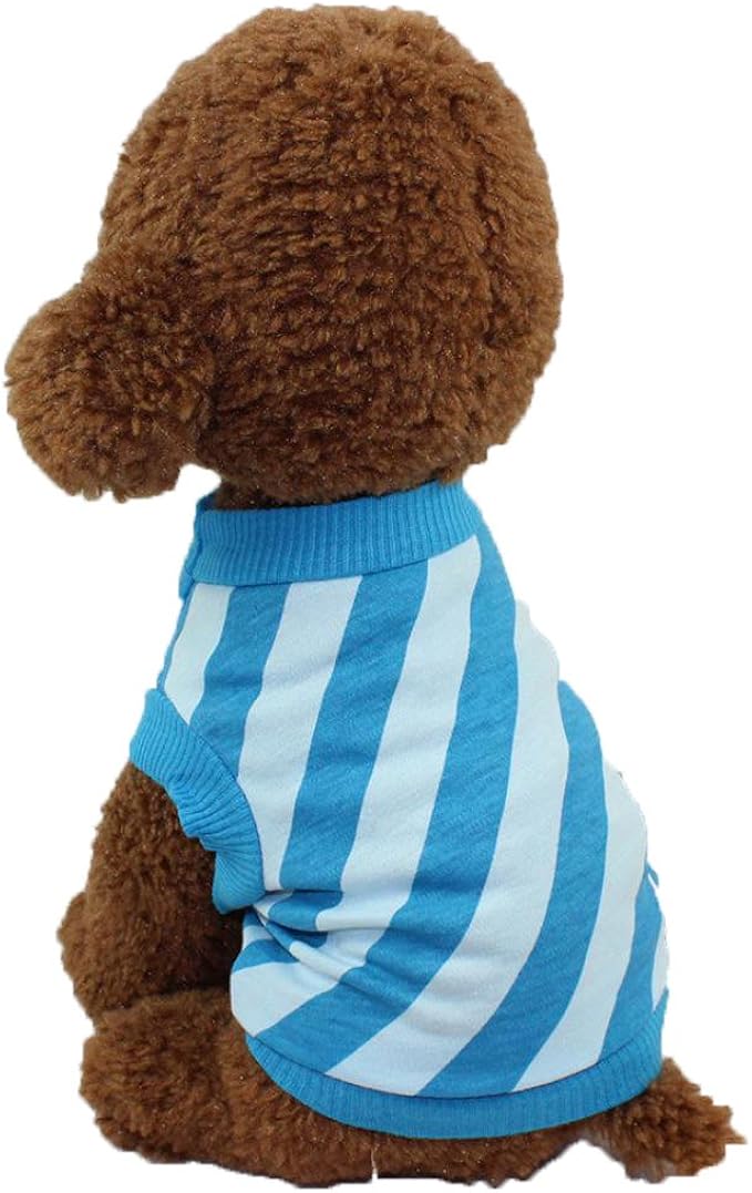 howstar pet clothes