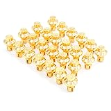 RTRHINOTUNING Wheel Rivets Nuts Set of 100 for