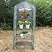 Fdit Transparent Winter Plant Green House Cover for Yard Garden Plant (27.17 x 19.27 x 62.99 inch)