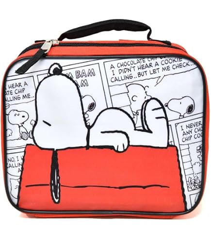 Amazon.com | AI ACCESSORY INNOVATIONS Peanuts 16” Backpack With