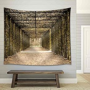 a Natural Tunnel in The Park of Hingene Belgium, Suggestion Hope at The End of a Tunnel - Fabric Wall Tapestry Home Decor - 51x60 inches