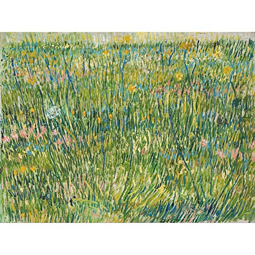 Vincent Van Gogh Patch Of Grass Art Print Canvas Premium Wall Decor Poster Mural
