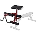 Body Solid (BFPL10R) Best Fitness Leg Developer and Preacher Curl Attachment Only for BFFID10 Weight Bench, Commercial and Home Gym Leg Lift Workout Equipment Extension
