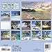 Tropical Getaway Wall Calendar (2017)