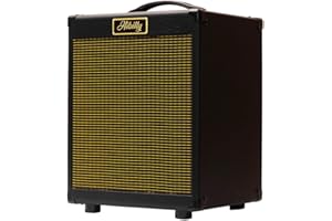 HIBILLY 30 Watt Bass Amplifier Retro Bass 30- Compact and Powerful Amp for Professional Performances and Practice Sessions (Black)