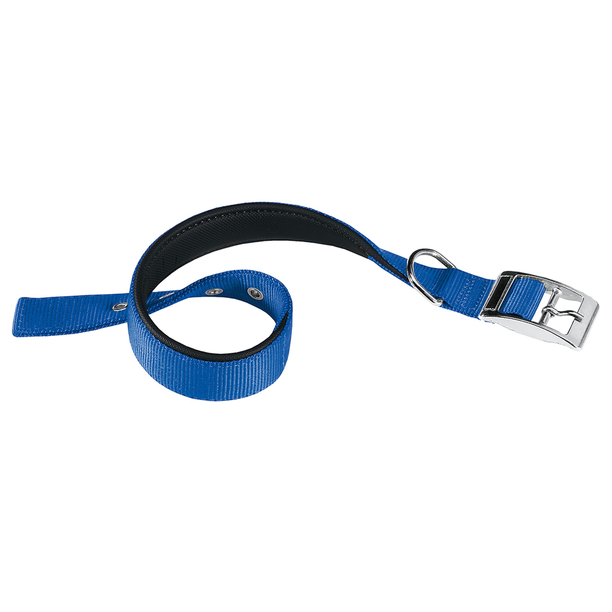Ferplast Small Dog Collar Adjustable Padded Nylon Dog Collar Metal Buckle, Neck Size 23-31 cm, Blue — image 1