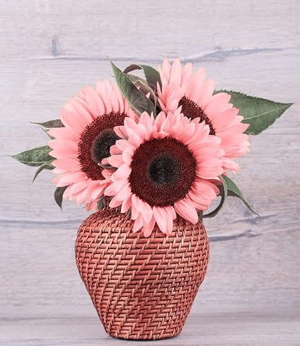 agence anthurium 974 Anthurium (Flamingo Flower) | Colourful Tropical Houseplant