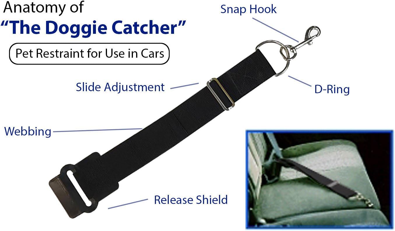 Smiling Dog The Doggie Catcher for Cars