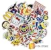 100 PREMIUM Stickers Decals Vinyls | Pack of The Best Selling Cool Sticker | Perfect To Graffiti Your Laptop, Macbook, Skateboard, Luggage, Car, Bumper, Bike, Hard Hat | The Bryta Store