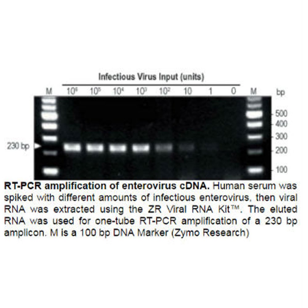 QuickRNA Viral Kit, Zymo Research, 50 Preps/Unit on Galleon Philippines