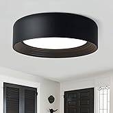 Gisisee 11.8 Inch Modern Dimmable LED Round Matte Black Flush Mount Ceiling Light,5CCT Adjustable 3000K-6000K,Close to Ceilin