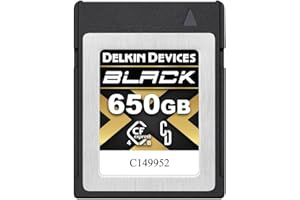 Delkin Devices 650GB BLACK CFexpress 4.0 Type B Memory Card with pSLC Flash, up to 3530MB/s Read for Professional Video and P