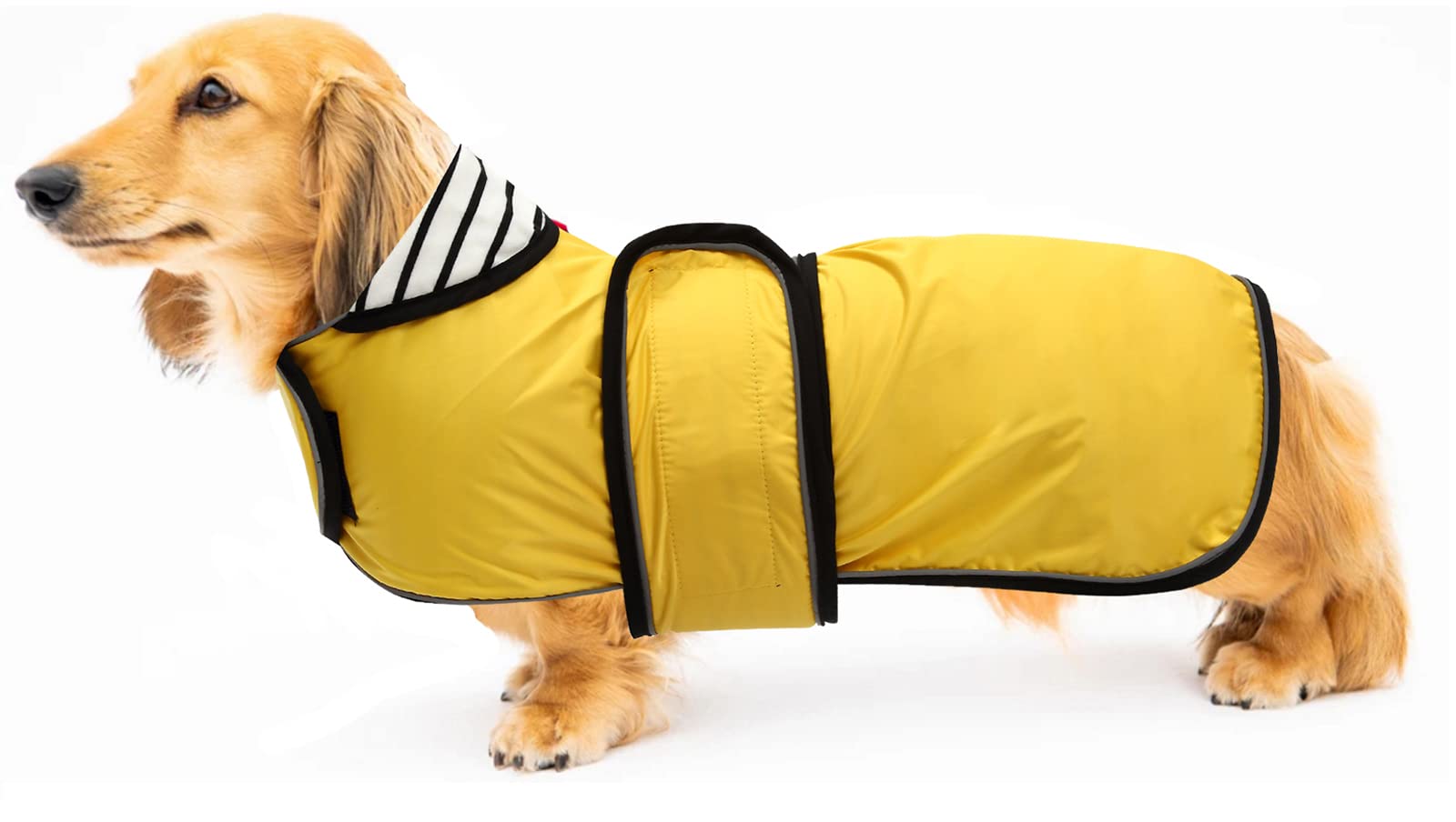 Geyecete Dog Jacket Adjustable Lightweight Dachshund Raincoat with Reflective Straps and Harness Hole Best Gift for Dachshund-Yellow-XS — image 1