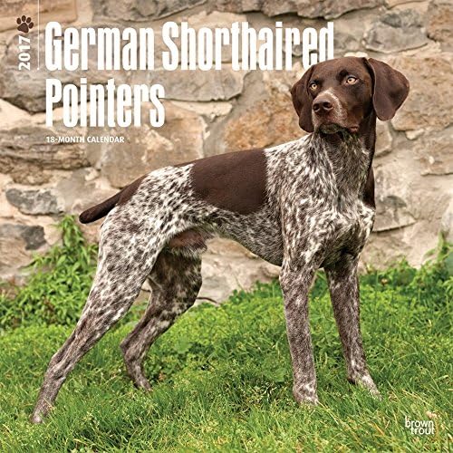 German Shorthaired Pointers - 2017 Calendar 12 x 12in
