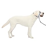 PetSafe Gentle Leader Headcollar No-Pull Dog Collar