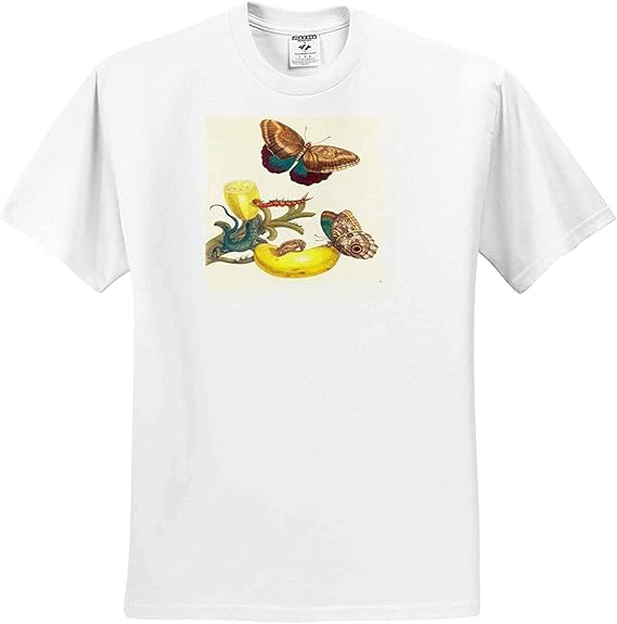 Amazon Florene Maria Merian Vintage Botanicalsドイツの植物学者絵画蝶イエローフラワーtシャツ Tシャツ カットソー 通販