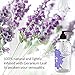 Lulu Lavender Massage Oil with Jojoba Oil for Massaging 16 Ounce.