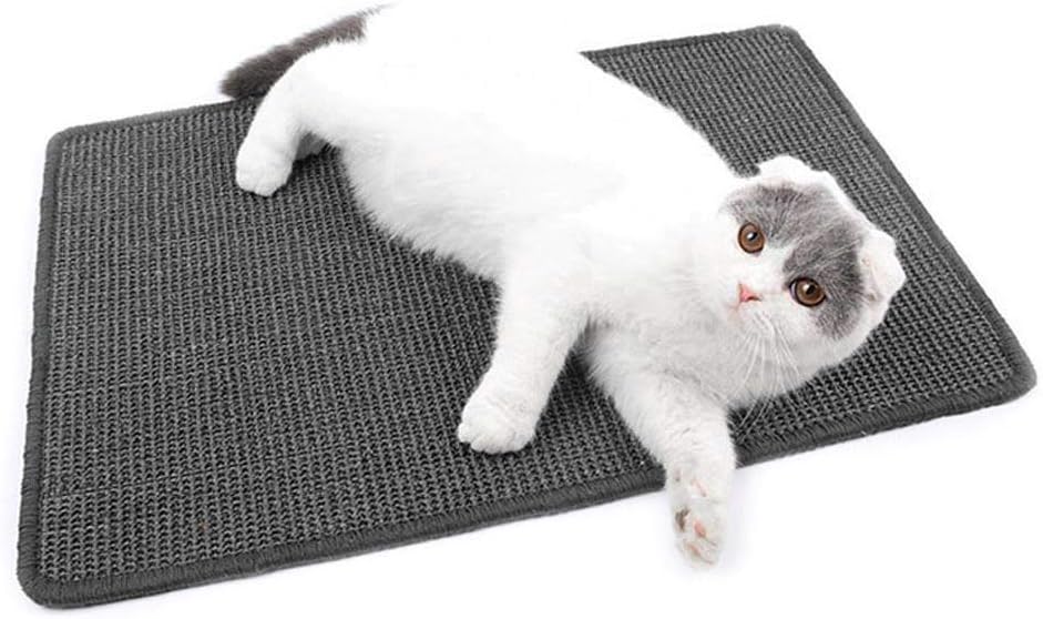 Best Loop Carpet And Cats