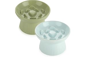 ABuff 2 Pack Raised Cat Slow Feeder, Elevated Slow Feed Dish for Cats and Small Dogs, Ceramic Slow Feeder Cat Bowl, No Spill High Edge for Dry/Wet Food(Blue, Green)