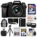 Panasonic Lumix DMC-G7 4K Wi-Fi Digital Camera & 14-42mm Lens (Black) with 32GB Card + Backpack + Battery + Flex Tripod + Filters + Tele/Wide Lens Kit