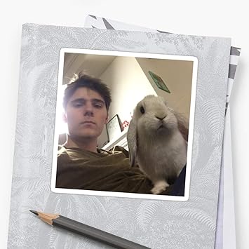 Pegatina de Vinilo para Coches, Camiones, Botella de Agua, Nevera ...