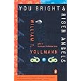You Bright and Risen Angels (Contemporary American Fiction)