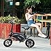 ANCHEER 2019 Collapsible E-Bike 350W/ 250W Electric Bike, 12/30 Miles Range Scooter with Dual Disc Brakethumb 1