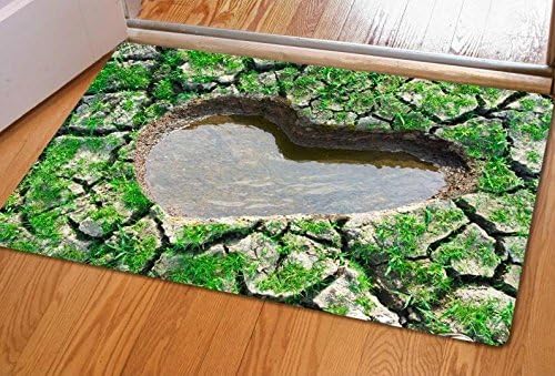 2016 New Arrival Creative 3D Printed Non-slip Entrance Bathroom Door Mat ku?e kuhinja dekor (1pc, style 1)