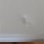 Tisch Multitisch Partytisch Klapptisch 74 Cm Höhe Und 120 Cm KLAPPBAR