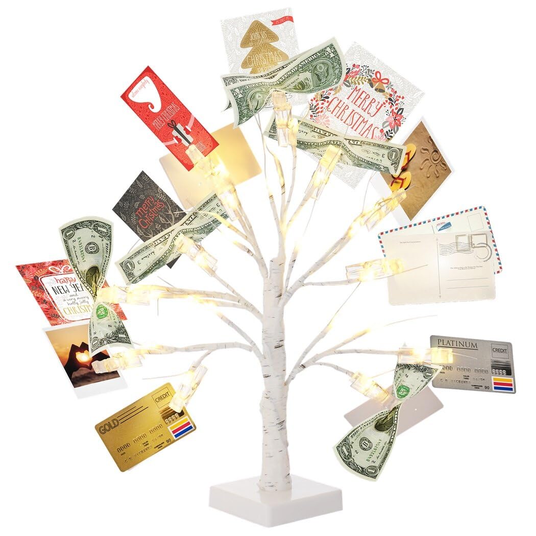 Photo 1 of Money Tree Gift Card Holder with 12 Clear Clips, Lighted Photo Cash Lottery Ticket Holder, Unique Desktop Home Decorations for Christmas, Memo, Birthday, Wedding, Graduation