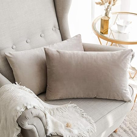 Miulee Housse De Coussin En Velours Decoratif Canape Home Decor Taie D Oreiller Super Doux Decoration Maison Salon Chambre Pour Canape Clic Clac 30 X 50 Cm 12 X20 2 Pieces Champagne Violet Amazon Fr Cuisine