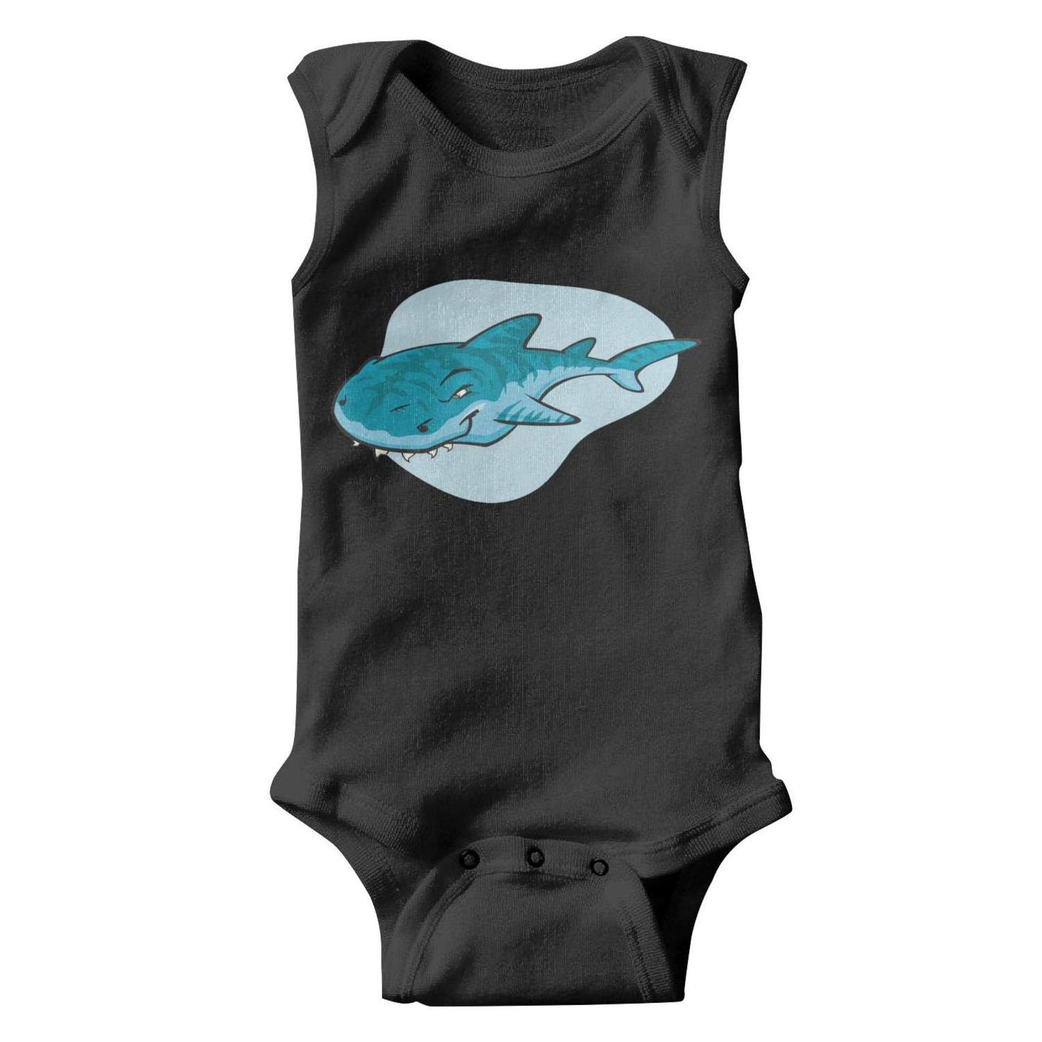 Best Rainbow Vacuum San Antonio Tx