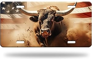OMW2FYB Longhorn Cattle License Plate American Flag Cow License Plate Funny Personalized Car Decoration Stainless Steel Car Front License Plate Decor Vanity Tag 4 Holes 6 X 12 Inch for Car SUV Truck