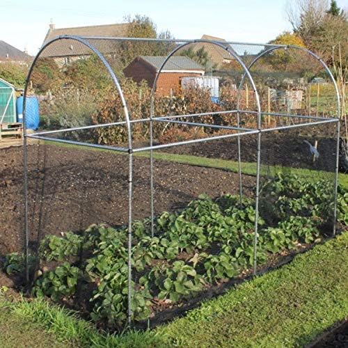 Tall Domed Fruit Vegetable Garden Cage Frame Various (1.2m Long