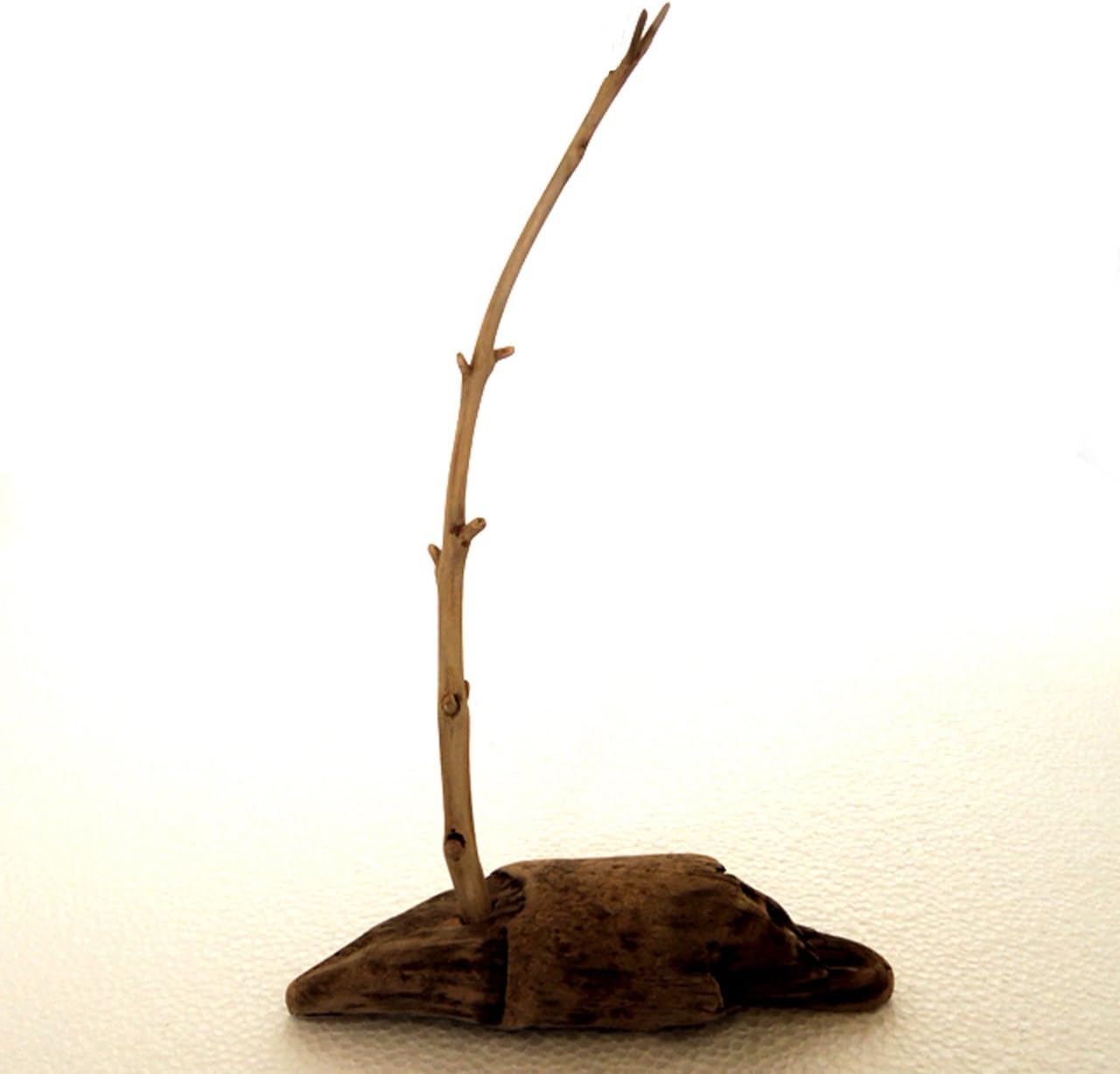 Amazon 流木と流木 送料無料 一部除く 返金保証 流木アクセサリースタンド お洒落な一点もの流木 インテリア 雑貨 アート ディスプレイ 流木は長良川で採集 Ras 280s インテリア オンライン通販