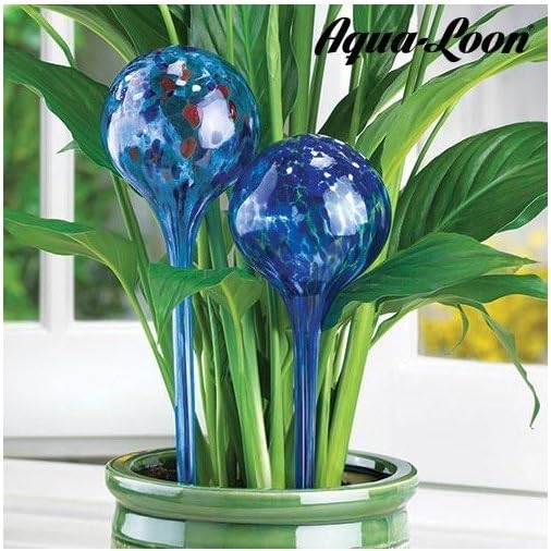Aqua Loon Plant Watering Balls, Pack of 2 Amazon.co.uk Kitchen & Home