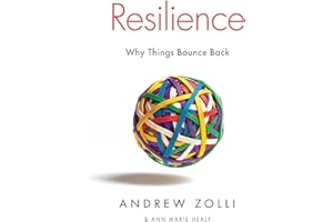 Resilience: Why Things Bounce Back