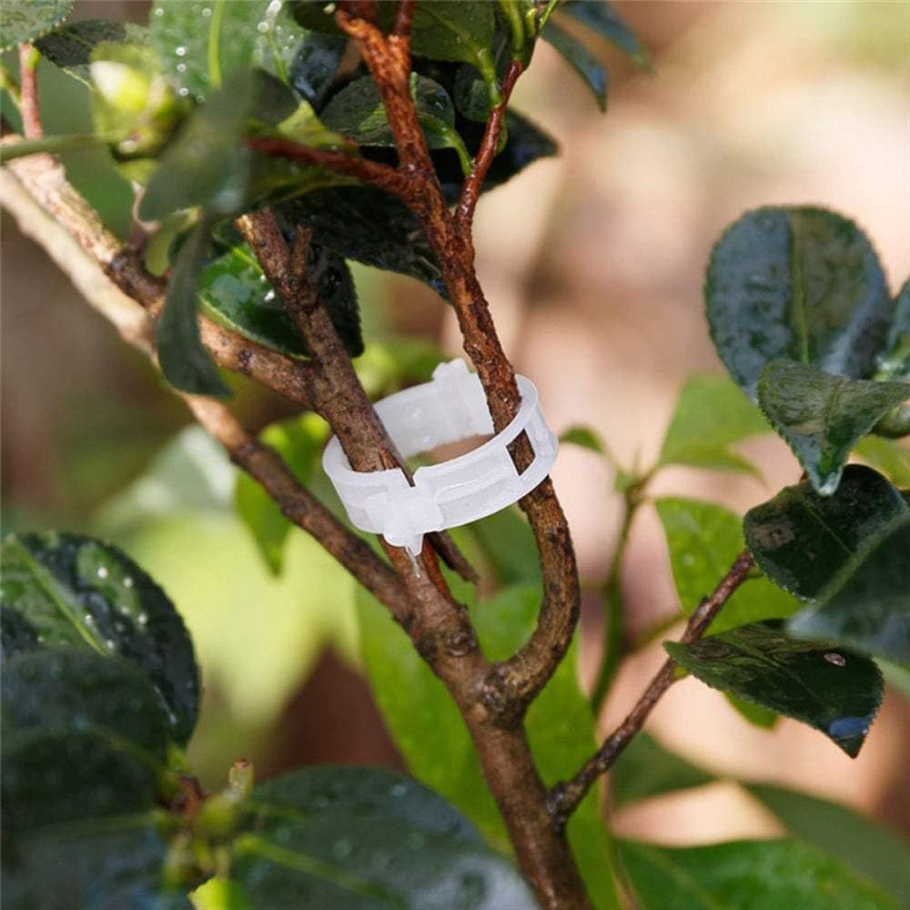 MAXGOODS - 500 Pinzas para Plantas, huerto, Tornillos, Tomates ...