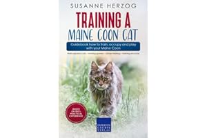 Training a Maine Coon Cat – Guidebook how to train, occupy and play with your Maine Coon: Well-adjusted cats – hunting games – clicker training – training structure