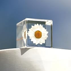 Bon Cube Real Flower Desk Accessory Mini Resin Cube