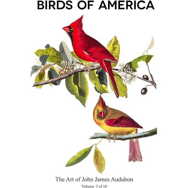 Birds of the Eastern Forest, Vol. 1: Lansdowne, James Fenwick