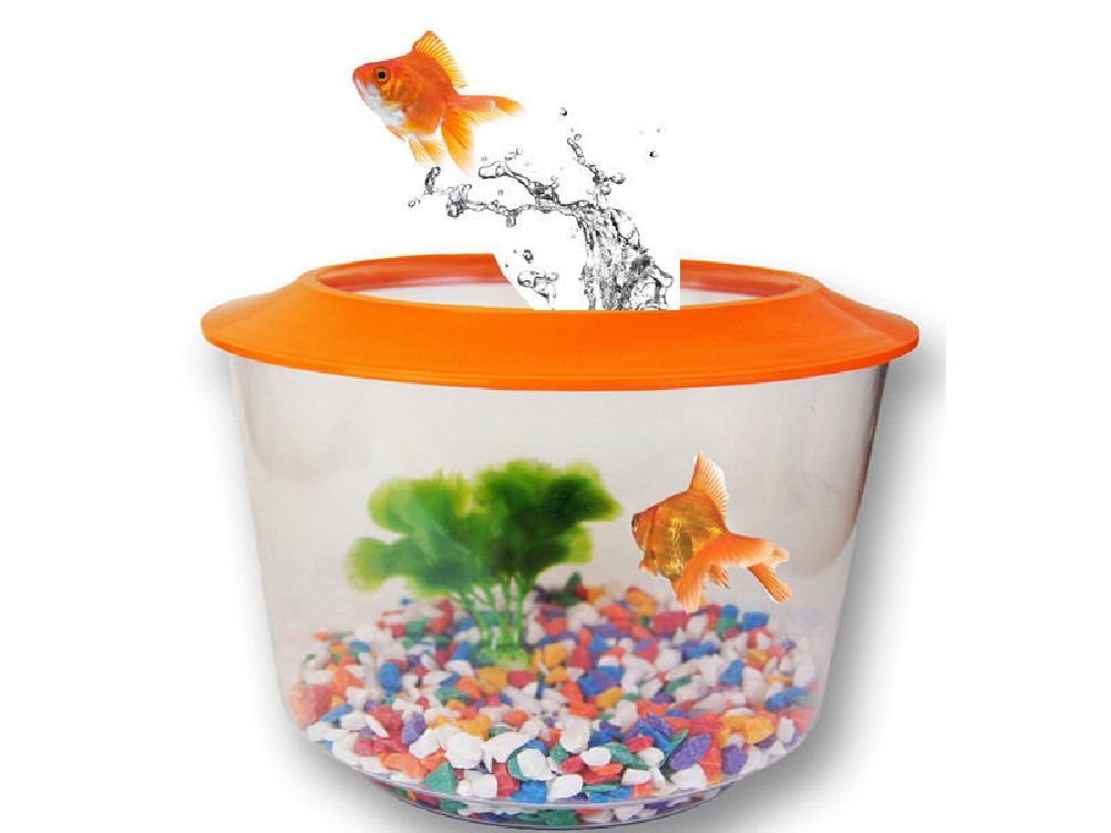 GOLDFISH STARTER SET KIT PACK TANK AQUARIUM BOWL LID GRAVEL PLANT GOLD FISH HOME